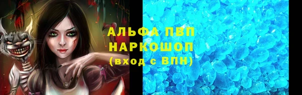 индика Иннополис