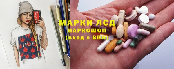 крисы Инта