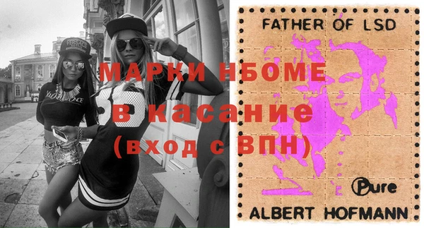 индика Иннополис