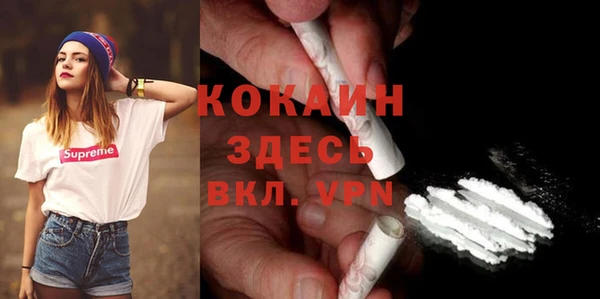 индика Иннополис