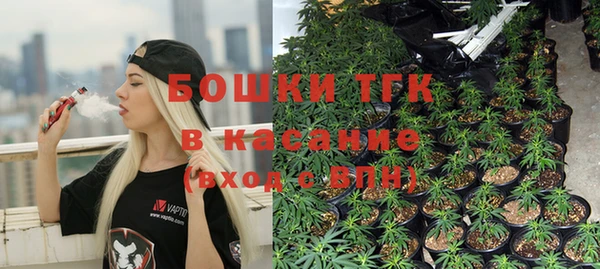 индика Иннополис