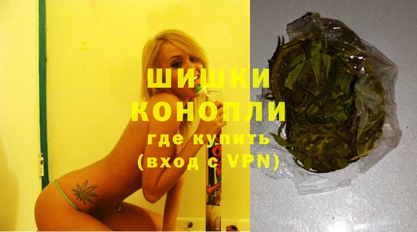 крисы Инта