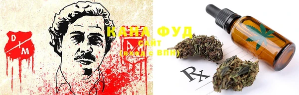 крисы Инта