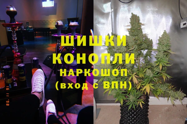 a pvp Инсар