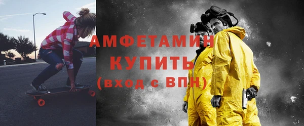 индика Иннополис