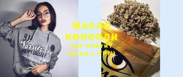крисы Инта